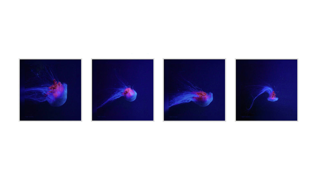 FMF-'Backflip' 4 Combo