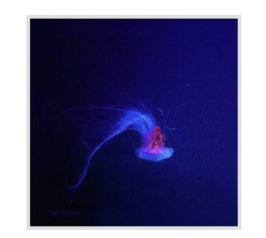 FMF-'Backflip IV'-Wildlife